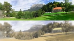 Komputery i gry mobilne dla kotów: funkcje i odmiany